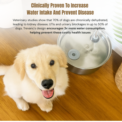 Trevanc Dog Fountain