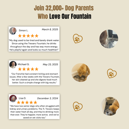 Trevanc Dog Fountain